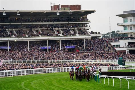 current going at cheltenham|Cheltenham going: the latest updates ahead of Gold Cup day at .